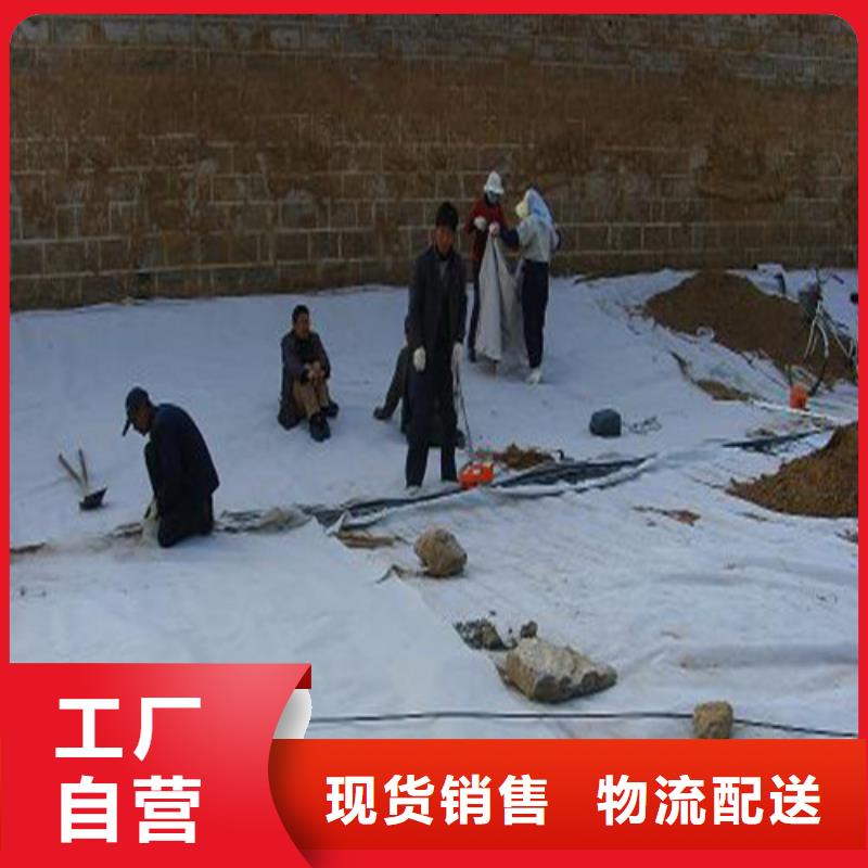 土工膜防水土工膜信譽有保證