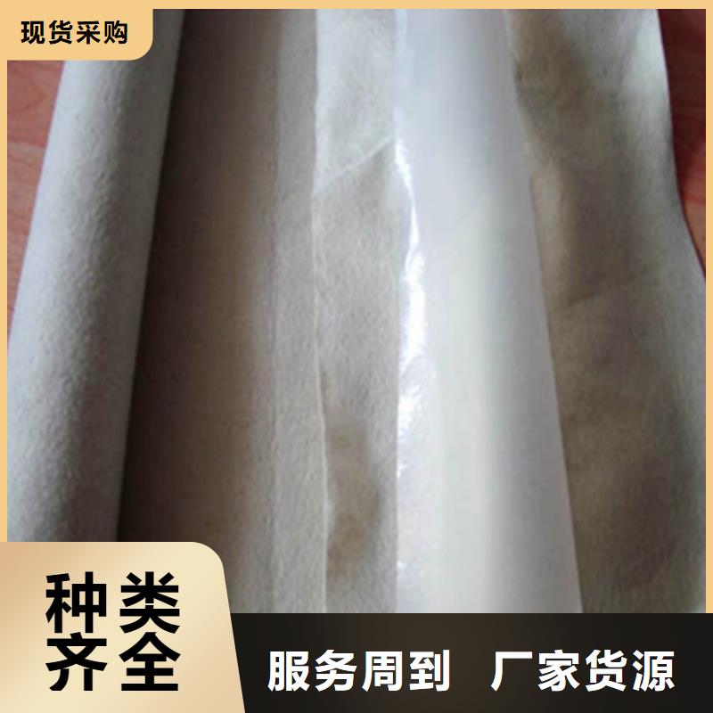 土工膜垃圾填埋場(chǎng)防滲土工膜貨源穩(wěn)定