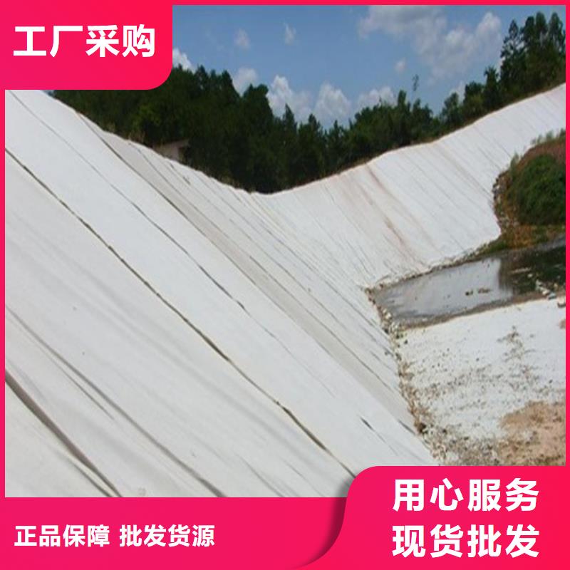 土工膜-污水處理廠防滲土工膜用心做品質