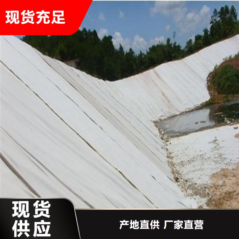 土工膜隧道用防滲防水板專業(yè)的生產(chǎn)廠家