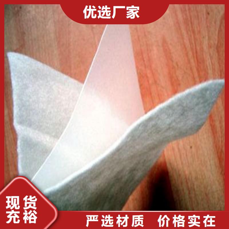 土工膜-防滲土工膜優(yōu)質(zhì)工藝