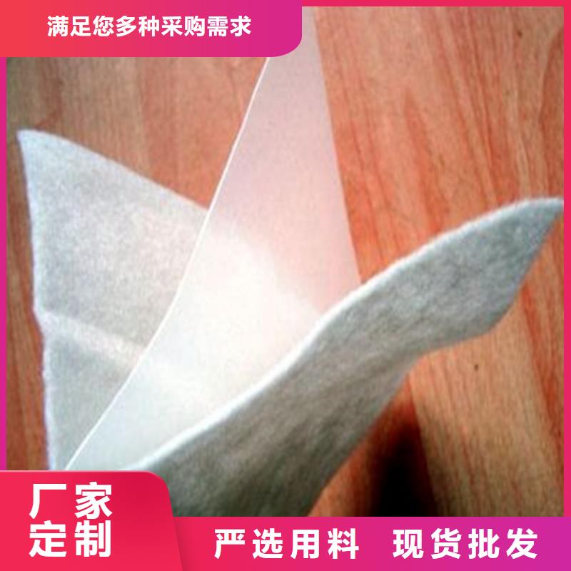 土工膜防水土工膜信譽有保證