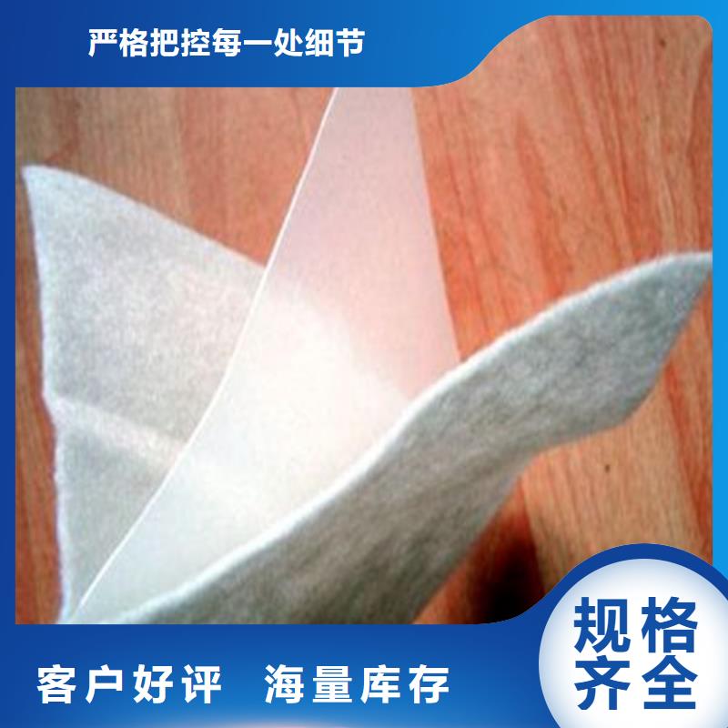 土工膜,儲(chǔ)油罐防滲土工膜出廠嚴(yán)格質(zhì)檢