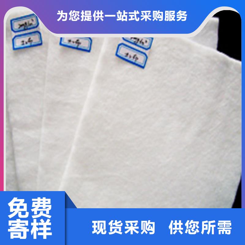 土工膜隧道用防滲防水板專業(yè)的生產(chǎn)廠家