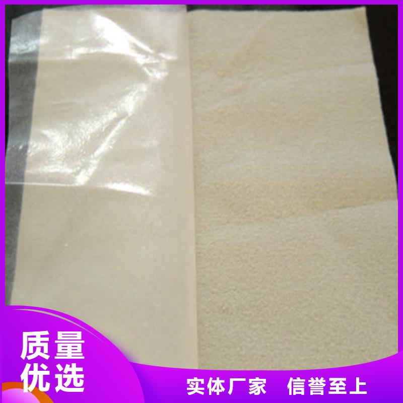 土工膜,大壩防滲土工膜源廠直接供貨