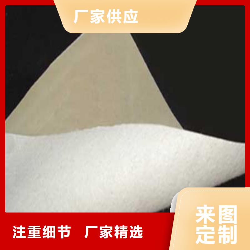 土工膜隧道用防滲防水板專業(yè)的生產(chǎn)廠家