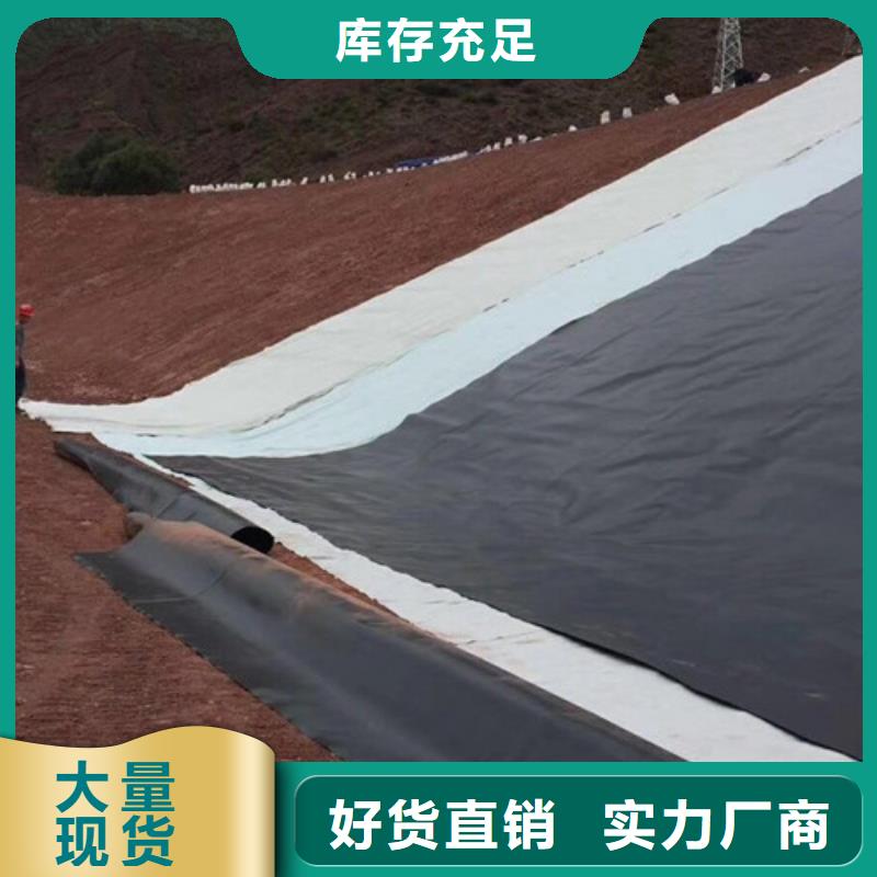 土工膜-水庫用防水土工膜板服務(wù)始終如一