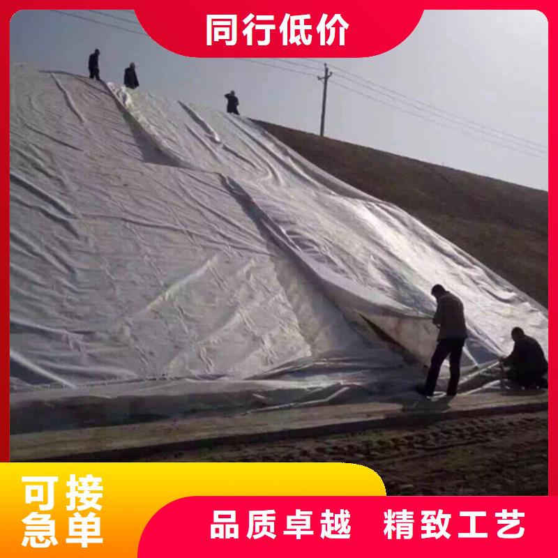 土工膜,大壩防滲土工膜源廠直接供貨