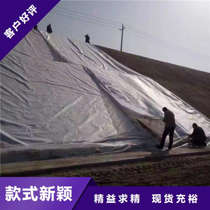 土工膜一布一膜土工膜優(yōu)良工藝