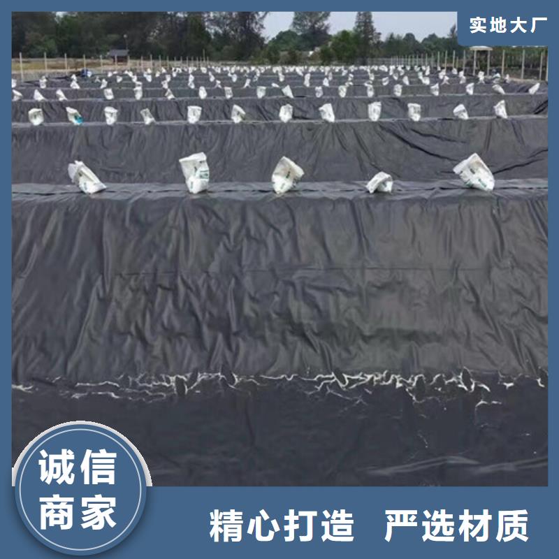 土工膜-水庫用防水土工膜板服務(wù)始終如一