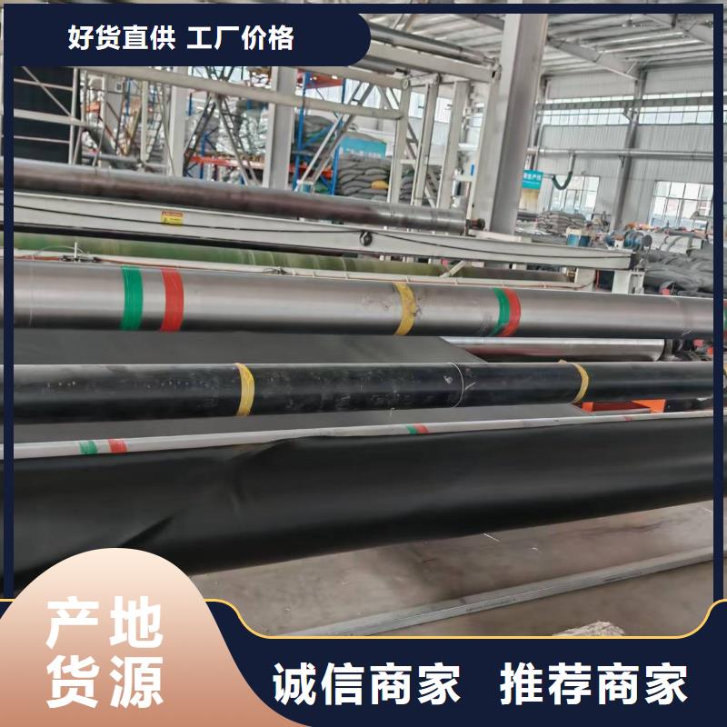土工膜隧道用防滲防水板專業(yè)的生產(chǎn)廠家