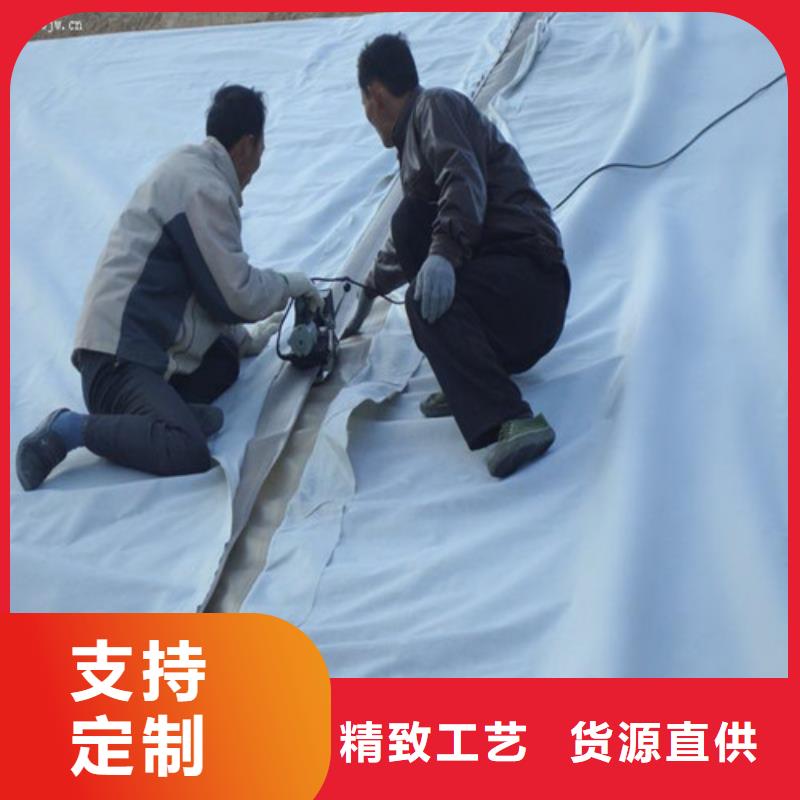 土工膜,大壩防滲土工膜源廠直接供貨
