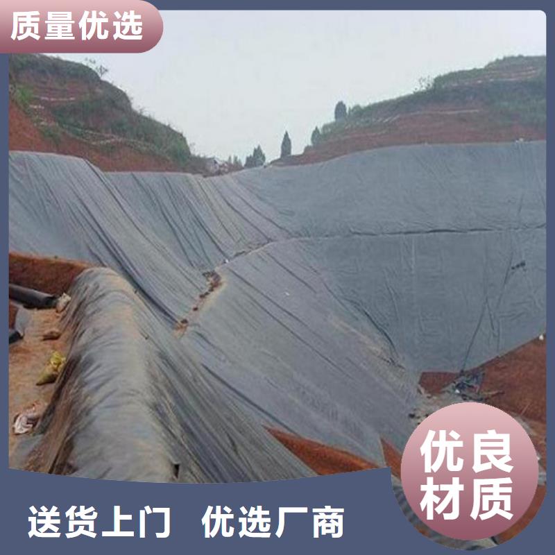 土工膜大壩防滲土工膜實(shí)力優(yōu)品