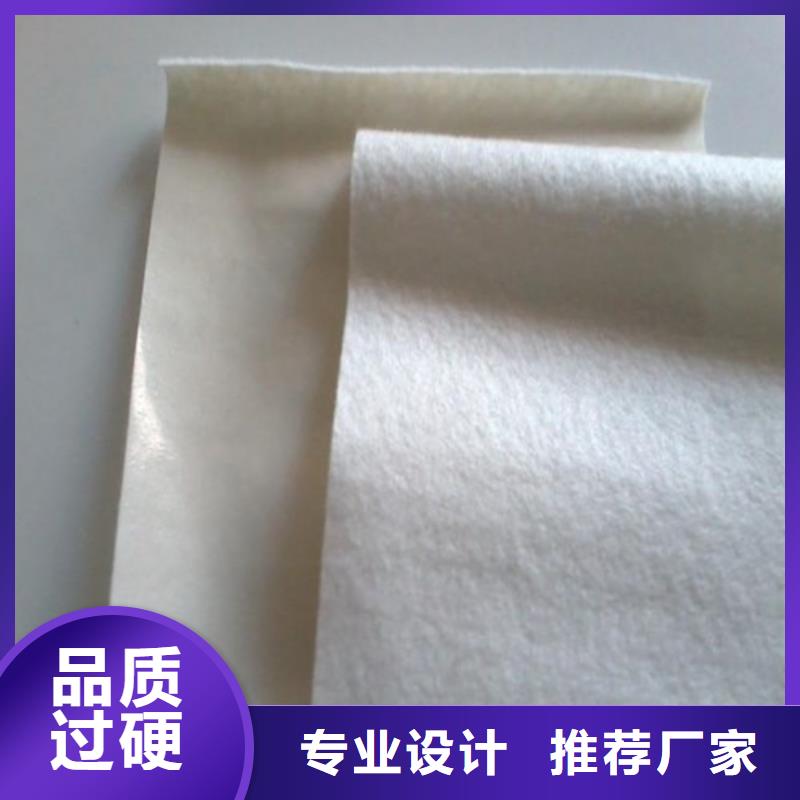 土工膜大壩防滲土工膜實(shí)力優(yōu)品
