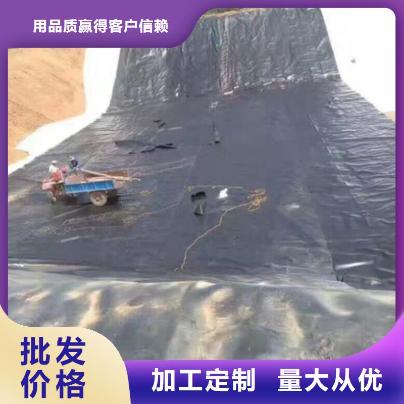 土工膜,防滲土工膜當(dāng)?shù)貜S家值得信賴