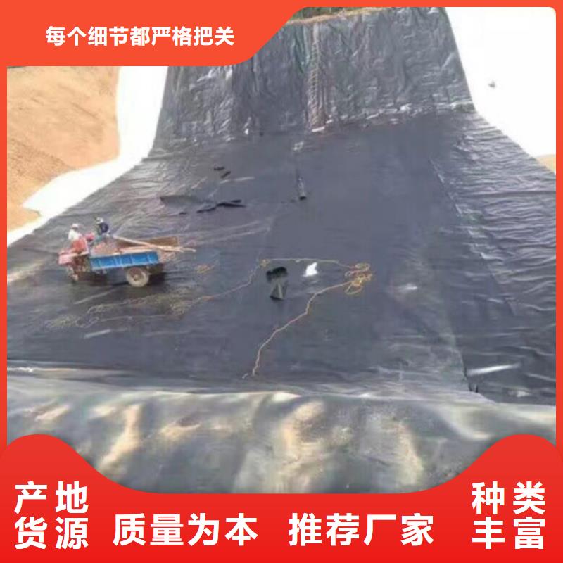 土工膜-防滲土工膜優(yōu)質(zhì)工藝