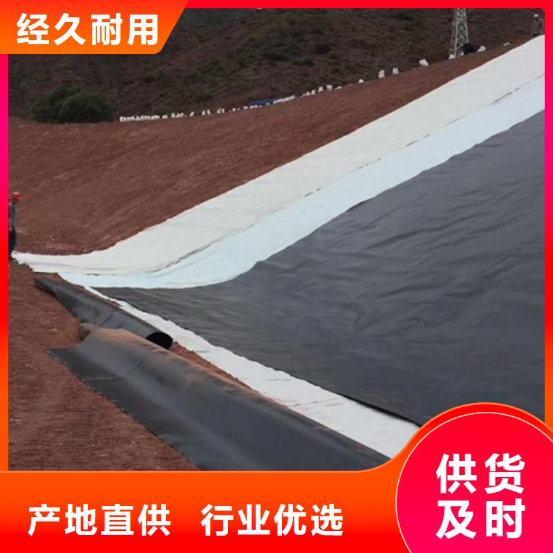 土工膜,大壩防滲土工膜源廠直接供貨