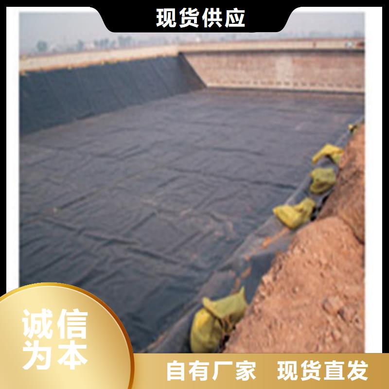 土工膜,大壩防滲土工膜源廠直接供貨