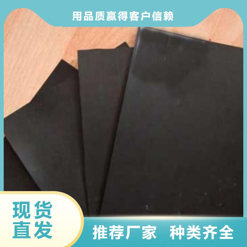 土工膜隧道用防滲防水板專業(yè)的生產(chǎn)廠家