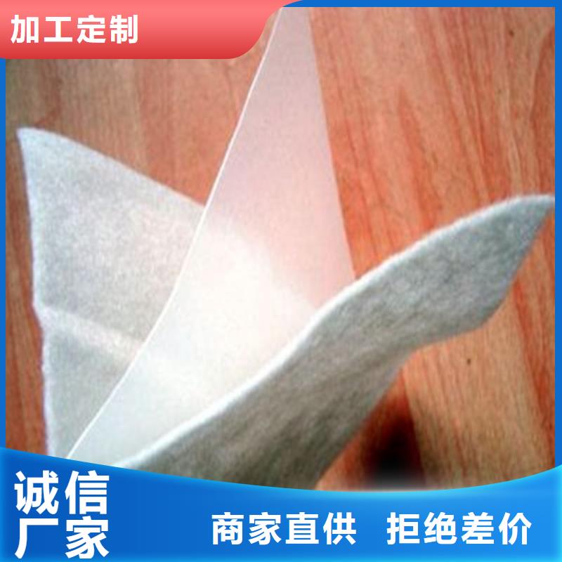 土工膜-水庫用防水土工膜板服務(wù)始終如一