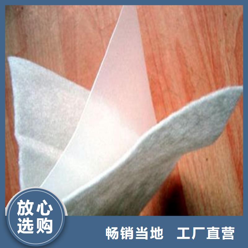 土工膜,大壩防滲土工膜源廠直接供貨