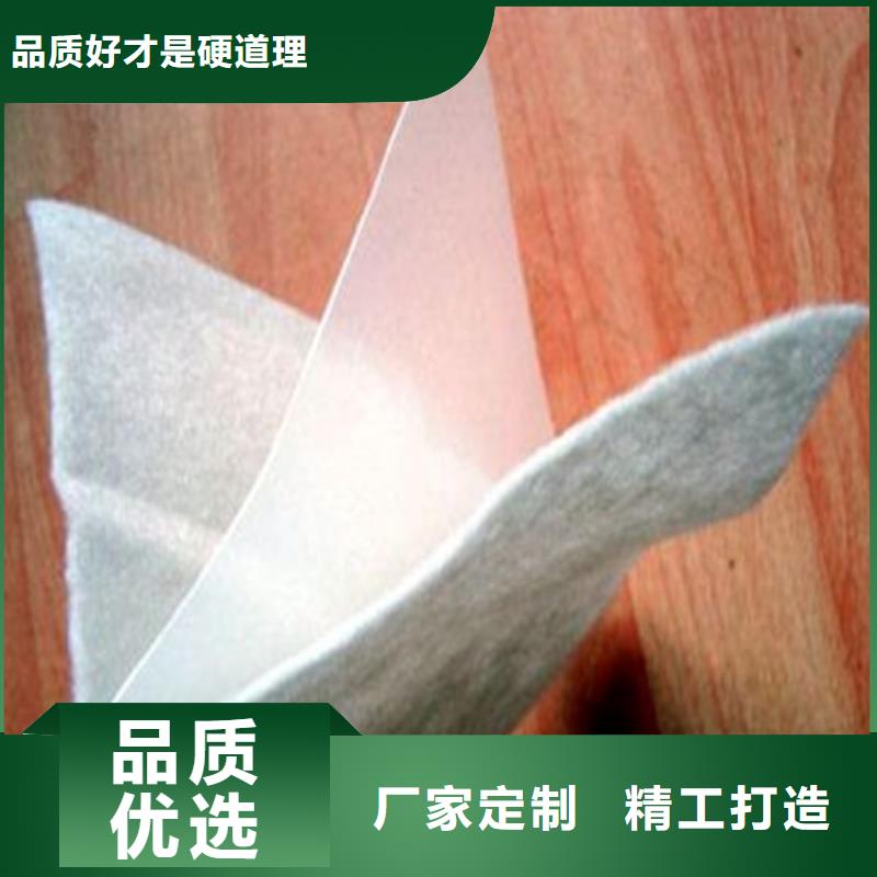 土工膜,防滲土工膜當(dāng)?shù)貜S家值得信賴