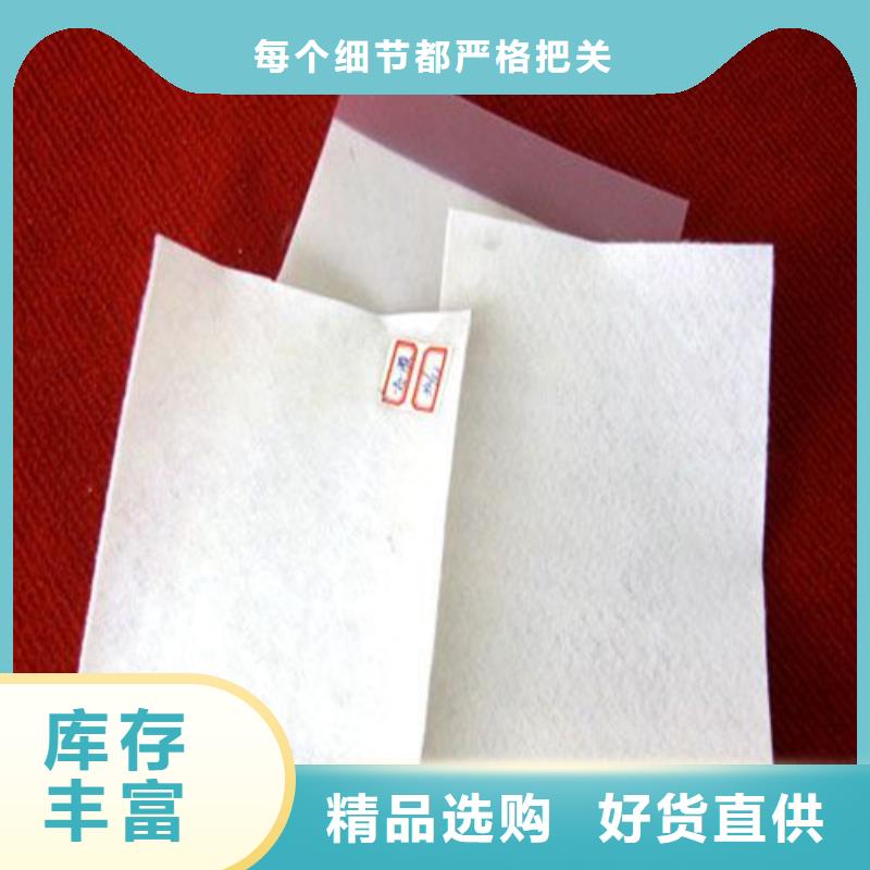 土工膜隧道用防滲防水板專業(yè)的生產(chǎn)廠家