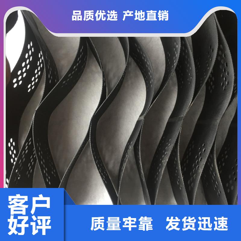 土工格室蜂窩土工網(wǎng)格追求細(xì)節(jié)品質(zhì)