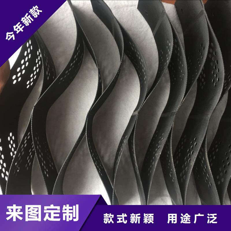土工格室鉚接土工格室好產(chǎn)品放心購