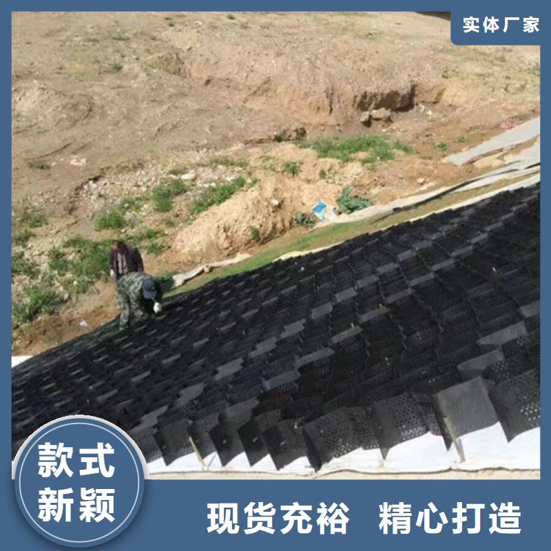 土工格室土工格室護坡高標(biāo)準高品質(zhì)