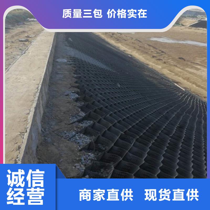 土工格室蜂窩土工網(wǎng)格一個起售