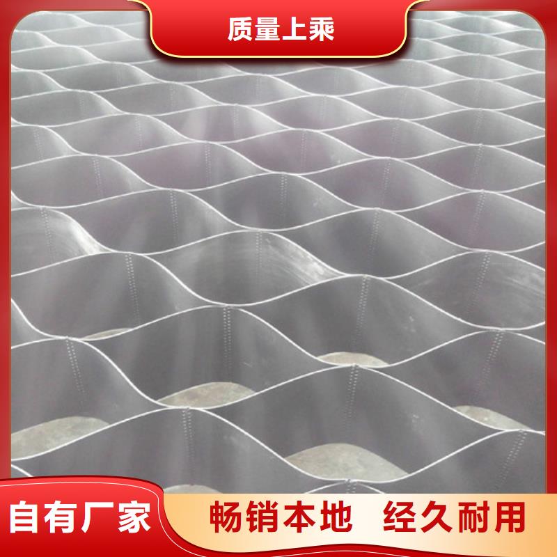 土工格室蜂窩土工網(wǎng)格一個起售
