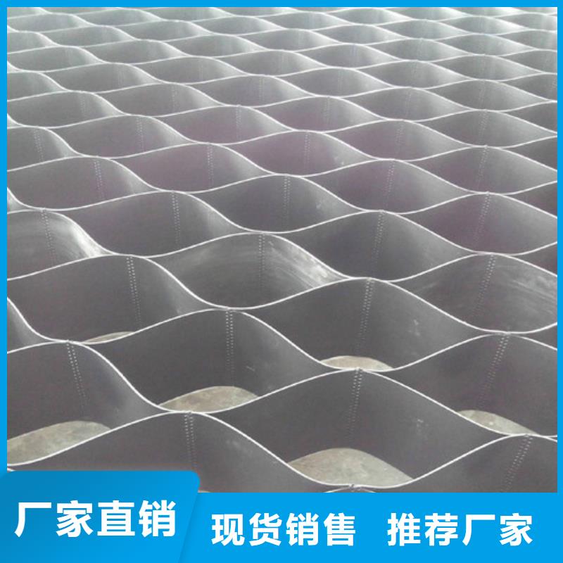 土工格室蜂窩土工網(wǎng)格一個(gè)起售