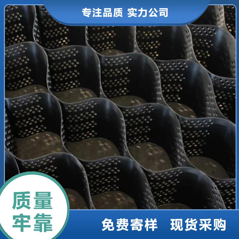 土工格室鉚接土工格室好產(chǎn)品放心購