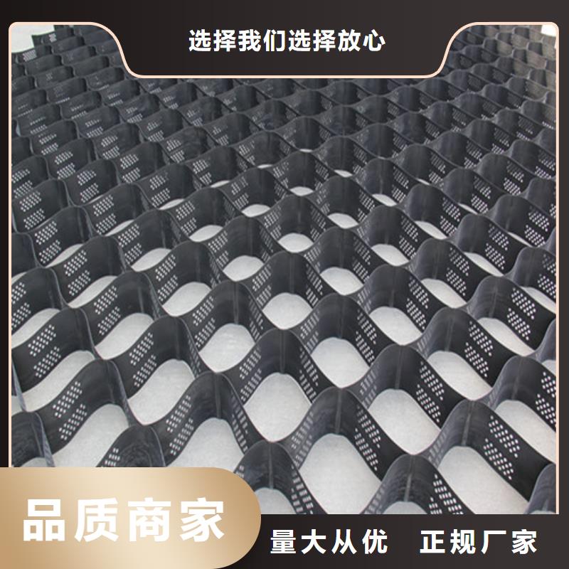 土工格室鉚接土工格室匠心打造