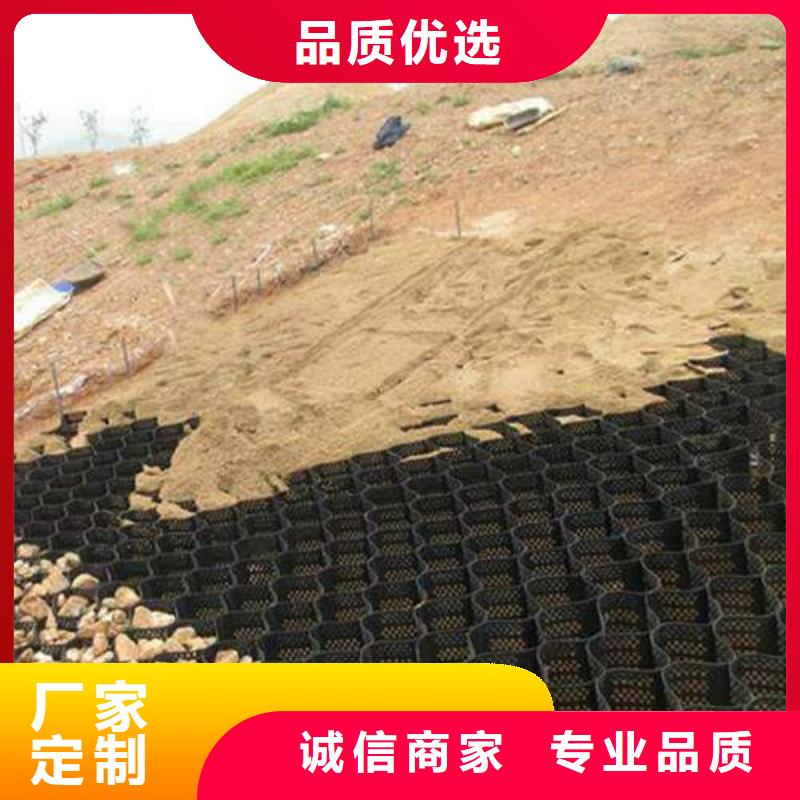 土工格室土工格室護(hù)坡研發(fā)生產(chǎn)銷售