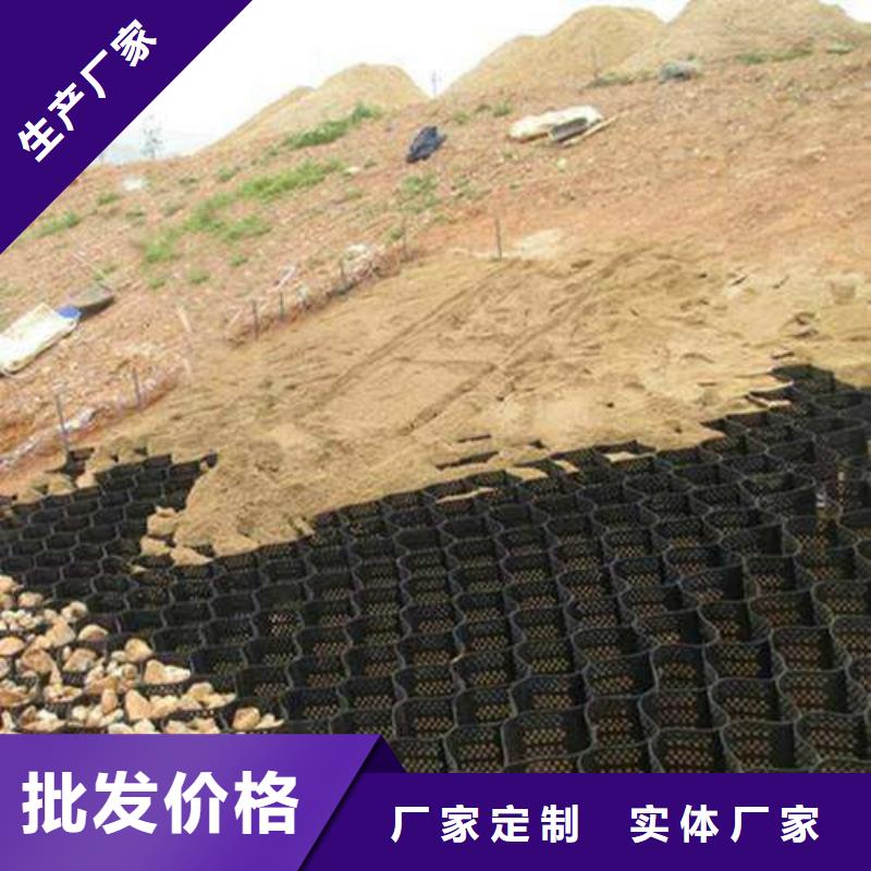 土工格室蜂窩土工網(wǎng)格一個起售