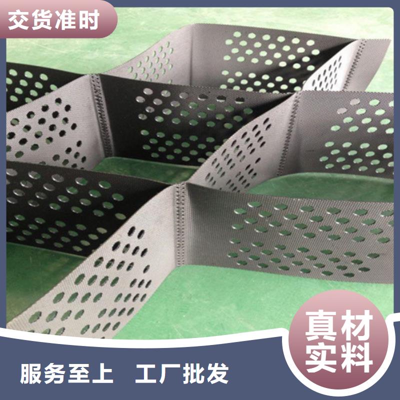 土工格室蜂窩土工網(wǎng)格一個起售