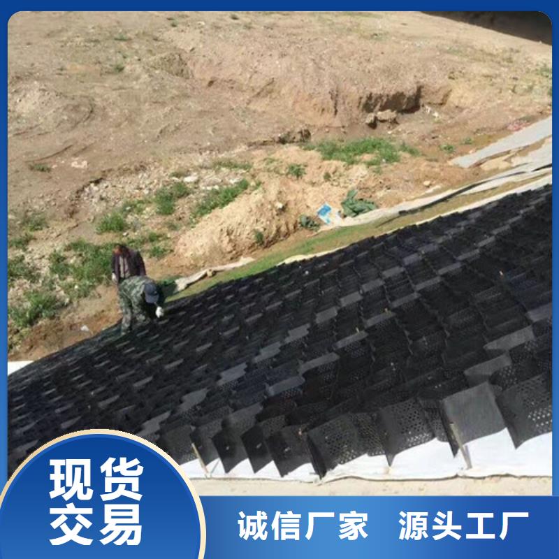 土工格室PET土工格室好廠家有擔(dān)當(dāng)