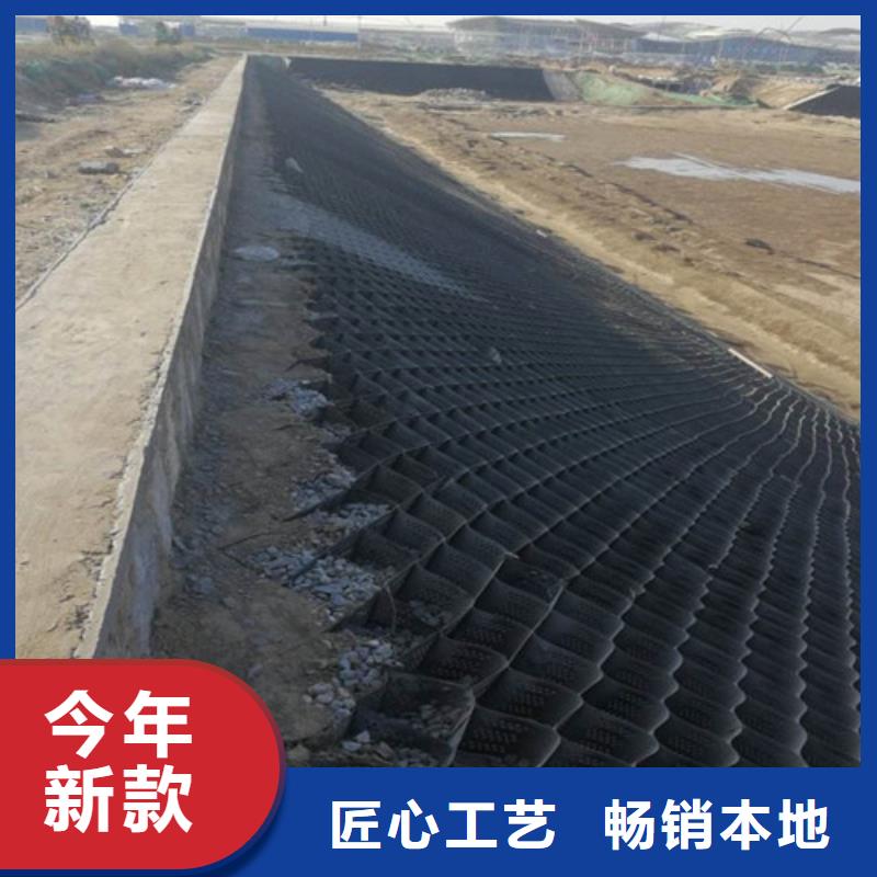 土工格室土工格室護坡高標(biāo)準高品質(zhì)