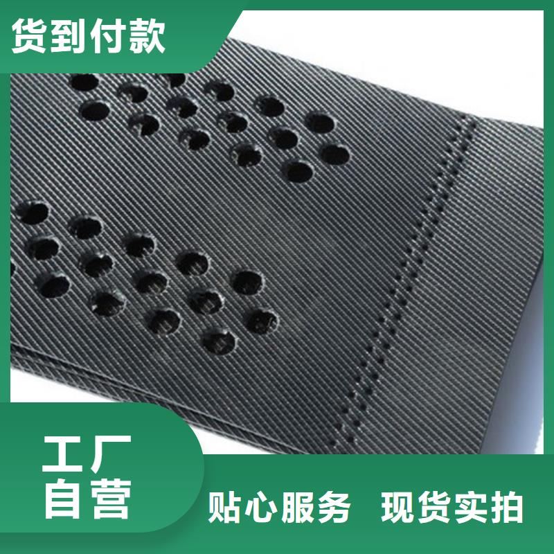 土工格室土工格室護(hù)坡研發(fā)生產(chǎn)銷售