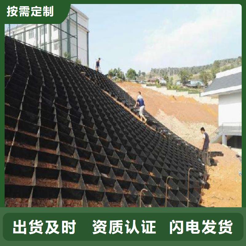 土工格室PP焊接土工格室全新升級(jí)品質(zhì)保障