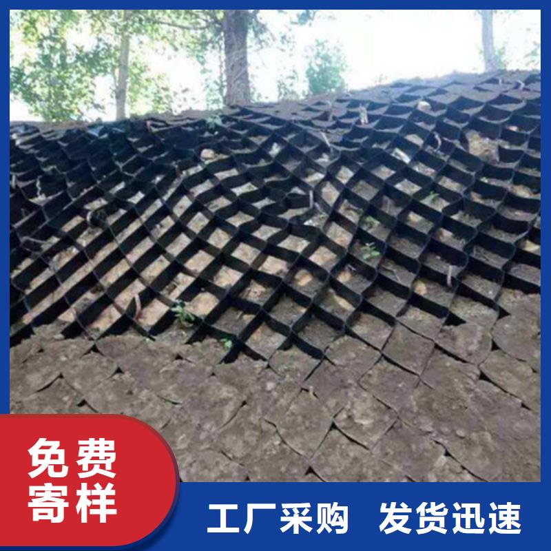 土工格室PET土工格室好廠家有擔(dān)當(dāng)