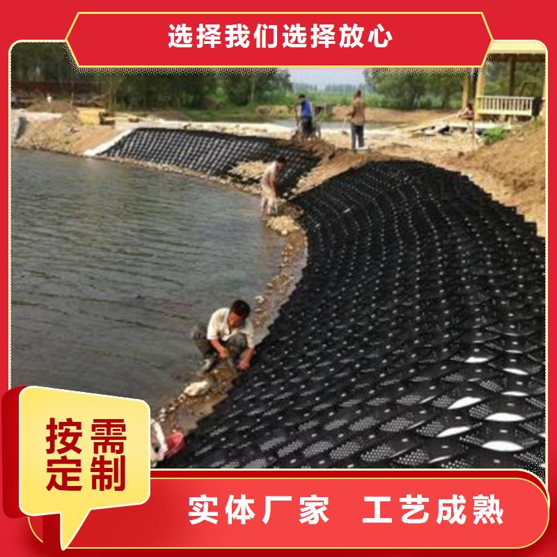 土工格室土工格室護(hù)坡研發(fā)生產(chǎn)銷售