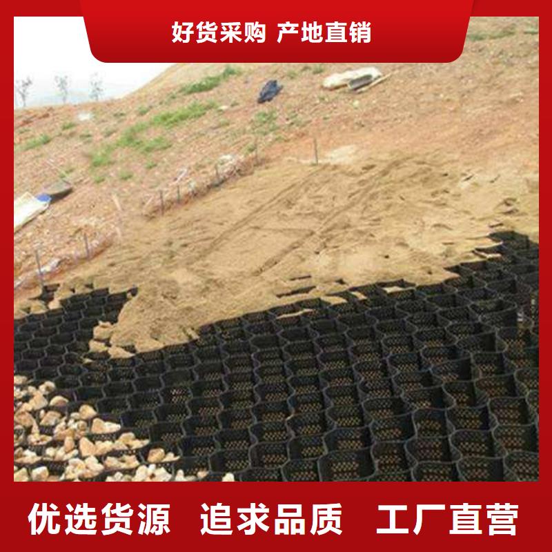 土工格室蜂窩土工網(wǎng)格一個(gè)起售