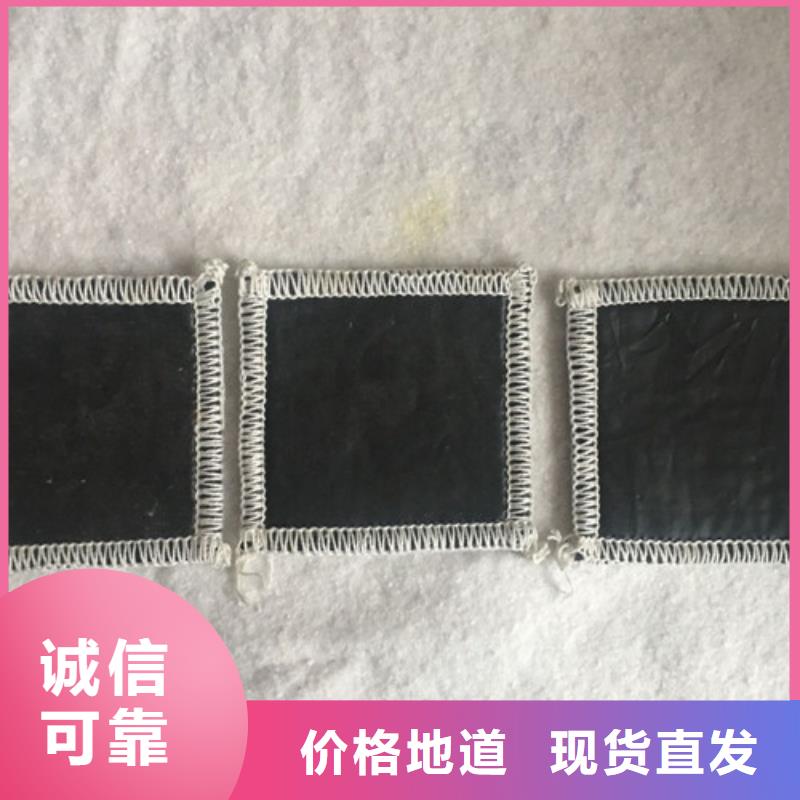 防水毯_覆膜膨潤土防水毯價格有優(yōu)勢