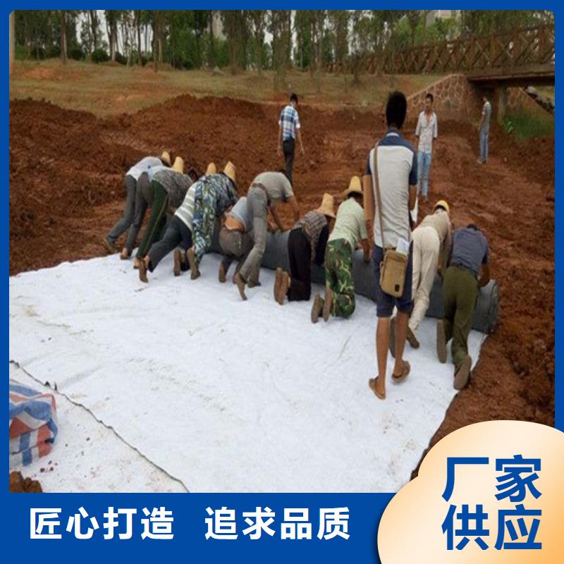 防水毯_防水毯誠信廠家