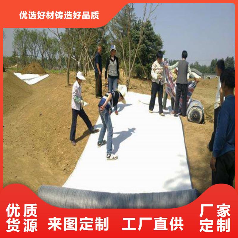 防水毯_防水毯誠信廠家