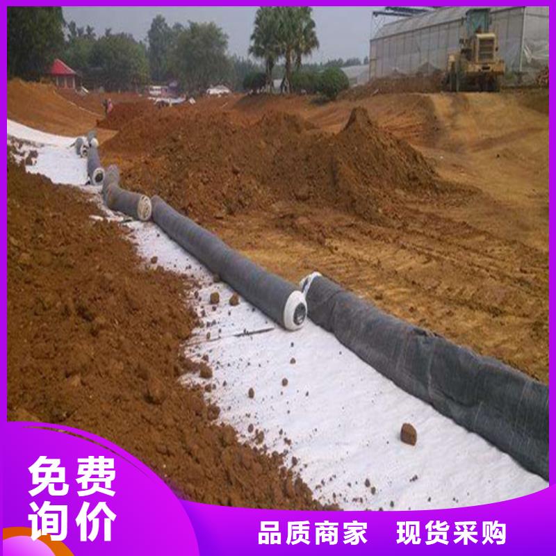 防水毯_防水毯產(chǎn)品細(xì)節(jié)