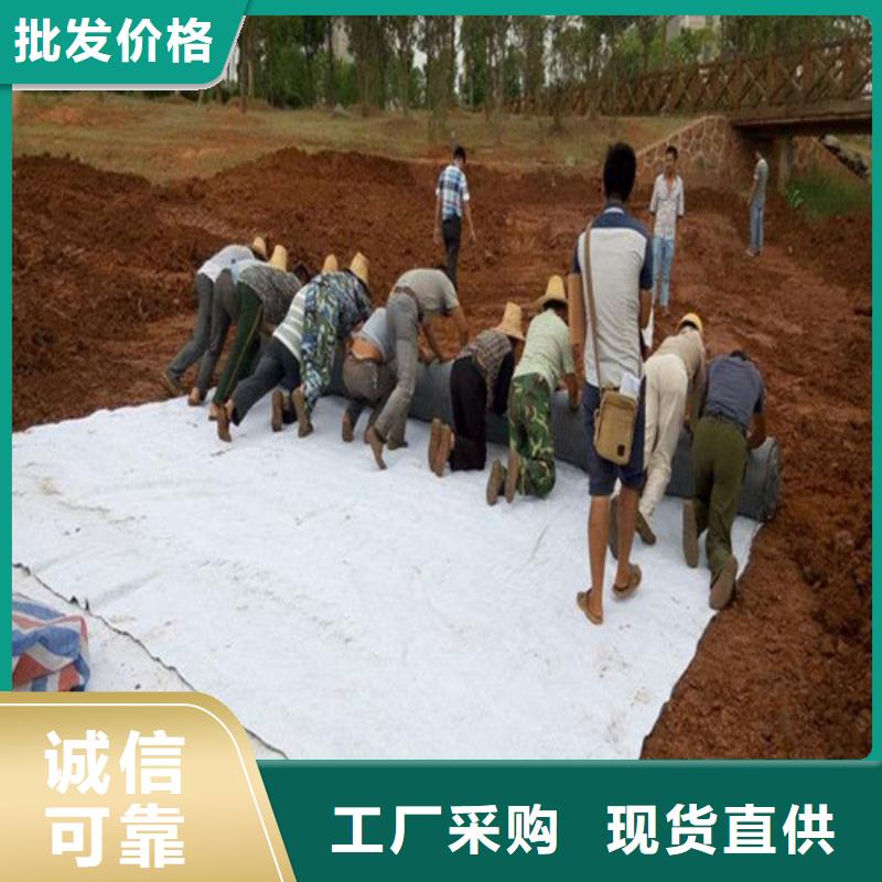 防水毯防水毯庫存齊全廠家直供